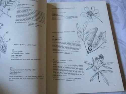 SOUTHERN CAPE TREE GUIDE - F VON BREITENBACH