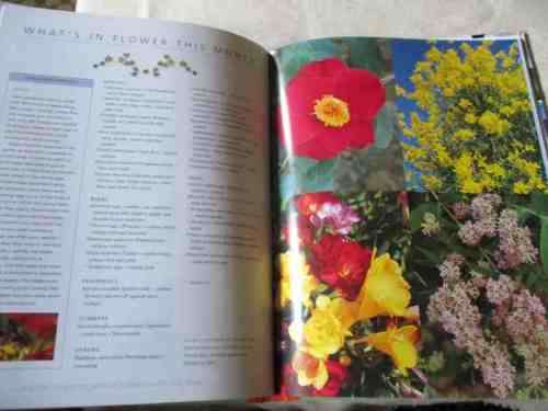 GARDENING IN SOUTH AFRICA THROUGHOUT THE YEAR - MARIANNE ALEXANDER