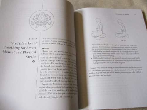 THE PRACTICE OF TIBETAN MEDITATION - DAGSAY TULKU RINPOCHE