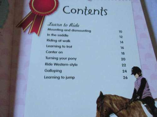 I LOVE PONIES - A FANTASTIC PRACTICAL GUIDE FOR GIRLS WHO LOVE PONIES !