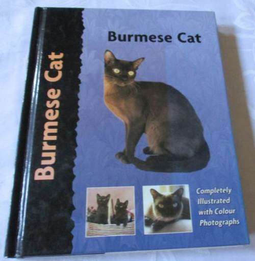 BURMESE CAT - DENNIS KELSEY-WOOD