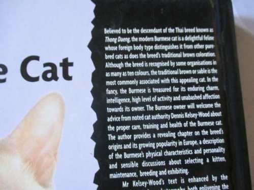 BURMESE CAT - DENNIS KELSEY-WOOD