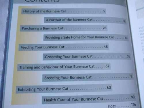 BURMESE CAT - DENNIS KELSEY-WOOD