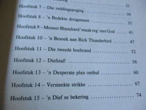 DANNY ORLIS EN DIE VREEMDE BOSBRAND - BERNARD PALMER