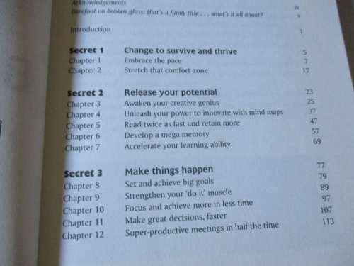 BAREFOOT ON BROKEN GLASS - THE FIVE SECRETS OF PERSONAL SUCCESS IN A MASSIVELY CHANGING BUSINESS ...