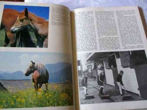 THE TREASURY OF HORSES - CHARLES CHENEVIX TRENCH