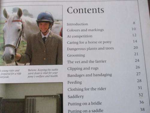 RIDING & JUMPING - ROBERT OWEN - KINGFISHER