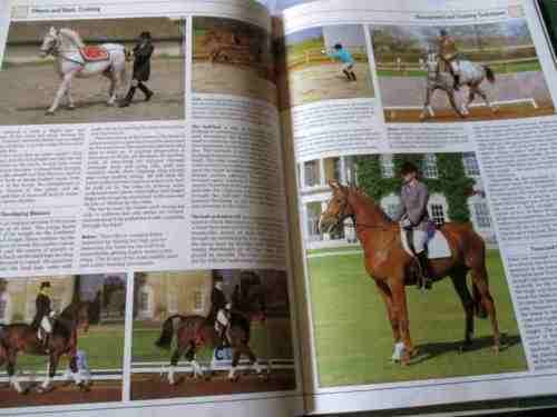 COMPETITIVE RIDING - AN ILLUSTRATED MANUAL OF DRESSAGE, SHOW JUMPING AND EVENTING - JANE HOLDERNESS-