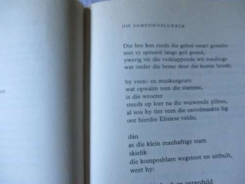 AMULET TEEN DIE VUUR - ERNST VAN HEERDEN