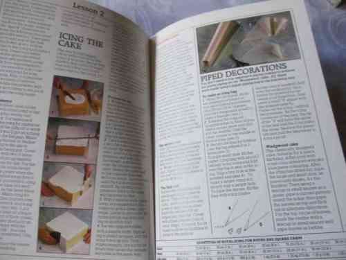 STEP-BY-STEP SPECIAL OCCASION CAKES - ANN NICOL`S EASY-TO-FOLLOW CAKE ICING COURSE