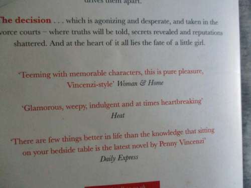 THE DECISION - PENNY VINCENZI