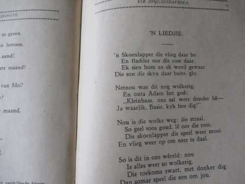 UITGESOEKTE GEDIGTE VIR JONG SUID-AFRIKA - C LOUIS LEIPOLDT
