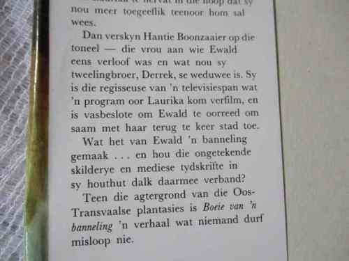 BOEIE VAN N` BANNELING - CHRISTO VAN DER MERWE ( roman )