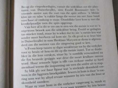 BOEIE VAN N` BANNELING - CHRISTO VAN DER MERWE ( roman )