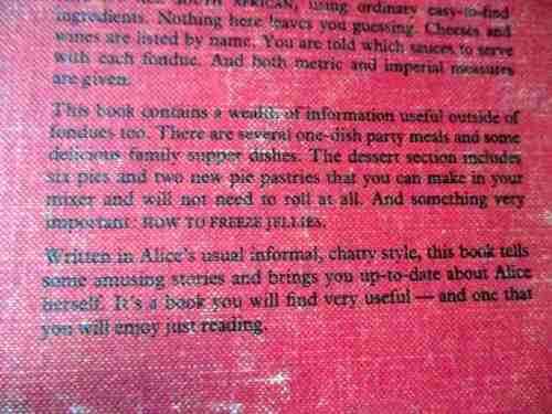 THE SOUTH AFRICAN FUNDUE BOOK - ALICE THERON