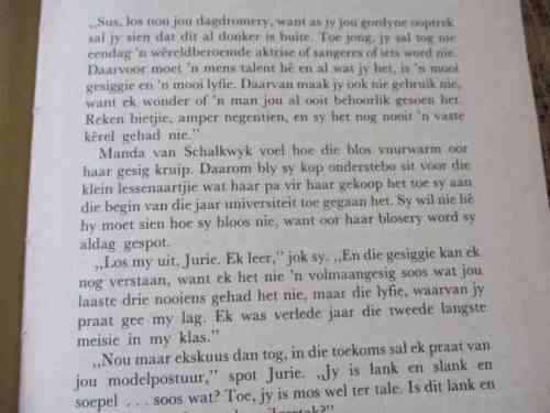 NUWE JAAR, NUWE MORE - M STRYDOM ( hardeband / roman / avontuur )
