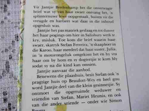 DIE BEELD VAN JULIA - VERNA CRONJE ( hardeband / roman / avontuur )