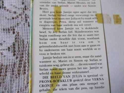 DIE BEELD VAN JULIA - VERNA CRONJE ( hardeband / roman / avontuur )
