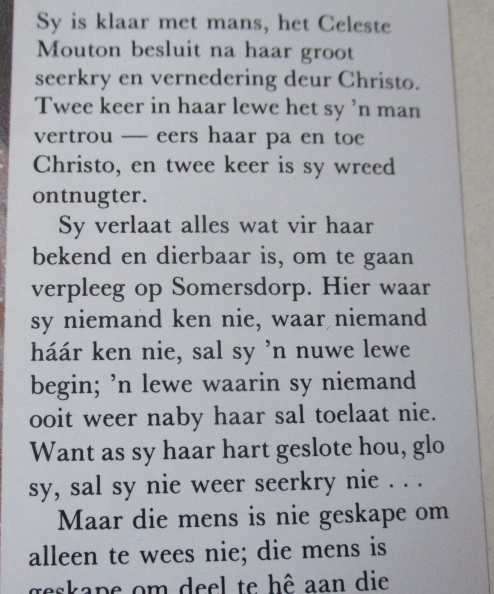 BITTERSOET SPEL - MARYNA VAN BERGEN    ( hardeband / roman / avontuur )