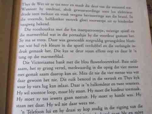 JULIA SE BROER - ANNELIZE VAN ROOYEN