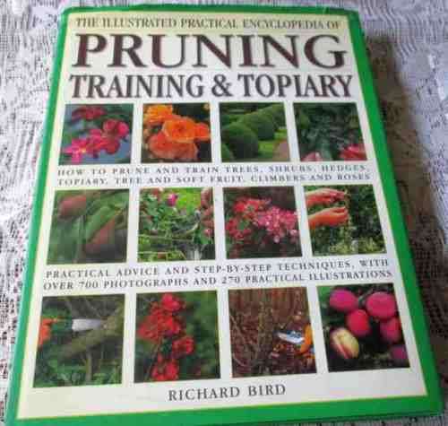 PRUNING, TRAINING & TOPIARY - THE PRACTICAL ILLUSTRATED ENCYCLOPEDIA OF - by RICHARD BIRD