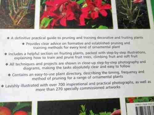 PRUNING, TRAINING & TOPIARY - THE PRACTICAL ILLUSTRATED ENCYCLOPEDIA OF - by RICHARD BIRD