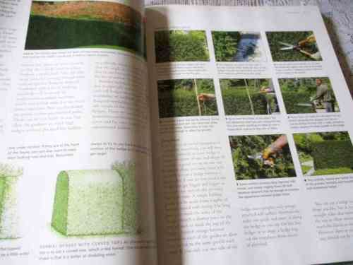 PRUNING, TRAINING & TOPIARY - THE PRACTICAL ILLUSTRATED ENCYCLOPEDIA OF - by RICHARD BIRD