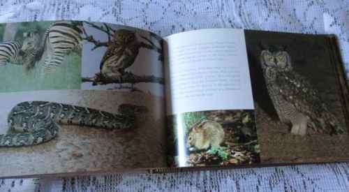 EXCLUSIVE SAFARI LODGES OF SOUTH AFRICA - GERALD HOBERMAN