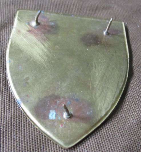 SADF WOMEN`S COLLEGE SHOULDER FLASH