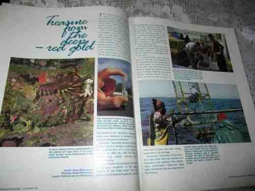 SA PANORAMA MAGAZINE DEC 1987 ( PRINCE ALBERT, NZASM, LOBSTER, HANS BILGERI, KROMME RHEE,