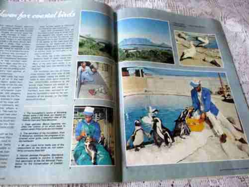 SA PANORAMA MAGAZINE NOV 1987 ( KURUMAN, TROUT, SANCCOB, MOSSEL BAY, ARCHITECTURE, MURATIE WINES )