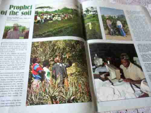 SA PANORAMA MAGAZINE NOV 1987 ( KURUMAN, TROUT, SANCCOB, MOSSEL BAY, ARCHITECTURE, MURATIE WINES )