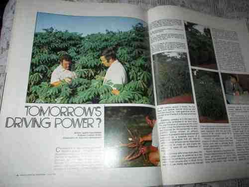 SA PANORAMA MAGAZINE JULY 1980 ( GOLDEN ACRE CT, DONALD MCFARLANE - CHESS, SARDINE RUN, LONDOLOZI,