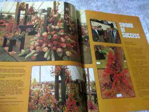 SA PANORAMA MAGAZINE OCT 1981 ( CHELSEA FLOWER SHOW, CHROME 3CR12, RADIO RSA, BUSHVELD, OWEN HORWOOD