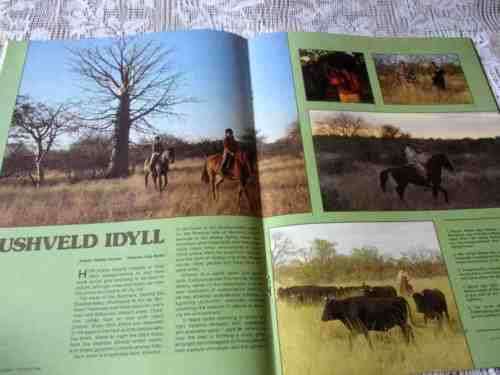 SA PANORAMA MAGAZINE OCT 1981 ( CHELSEA FLOWER SHOW, CHROME 3CR12, RADIO RSA, BUSHVELD, OWEN HORWOOD