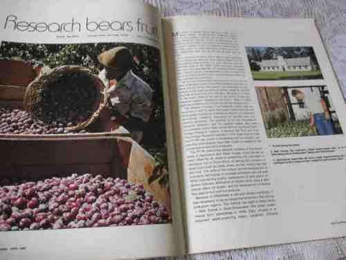 SA PANORAMA MAGAZINE APRIL 1988 ( SABS, GROOTE SCHUUR HOSPITAL, RICHARDS BAY, SPCA )