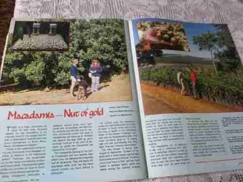 SA PANORAMA MAGAZINE APRIL 1988 ( SABS, GROOTE SCHUUR HOSPITAL, RICHARDS BAY, SPCA )