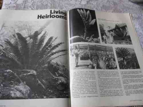 SA PANORAMA MAGAZINE SEP 1980 ( CYCADS, WESTLAKE, KRISHNA MAHARAJ, GREAT TREK, DE WILDT, SNAKES )