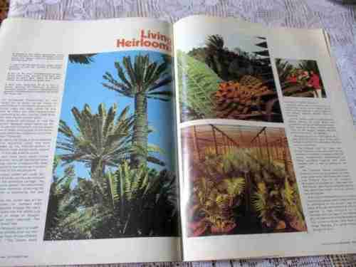 SA PANORAMA MAGAZINE SEP 1980 ( CYCADS, WESTLAKE, KRISHNA MAHARAJ, GREAT TREK, DE WILDT, SNAKES )