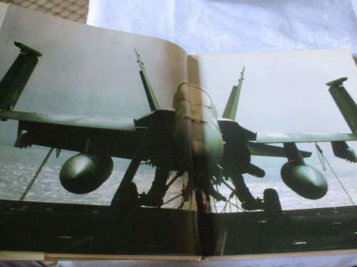 STINGERS - THE McDONNELL DOUGLAS F/A-18 ( HORNET ) - BILL GUNSTON