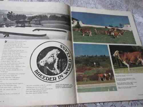 SA PANORAMA MAGAZINE APRIL 1976 ( PATRICK MPHEPHU, SIMMENTALER, OLD CAPE TOWN, KROONDAL, RESIN ART