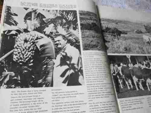 SA PANORAMA MAGAZINE APRIL 1976 ( PATRICK MPHEPHU, SIMMENTALER, OLD CAPE TOWN, KROONDAL, RESIN ART
