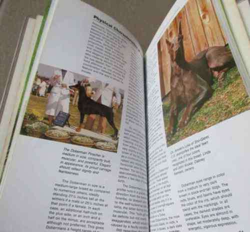 DOBERMAN PINCHERS - A COMPLETE INTRODUCTION - ANNA KATHERINE NICHOLAS