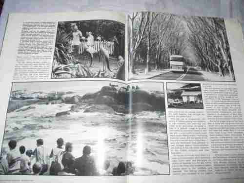 PANORAMA MAGAZINE NOV 1980 ( UNIVERSITY OF PRETORIA, ROSENKOWITZ SEXTUPLETS, EDOARDO VILLA ART )