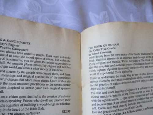 THE 21 LESSONS OF MERLYN - A STUDY IN DRUID MAGIC & LORE - DOUGLAS MONROE