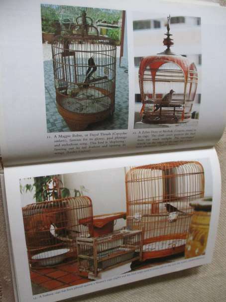 SONGBIRDS IN SINGAPORE - THE GROWTH OF A PASTTIME - LESLEY LAYTON