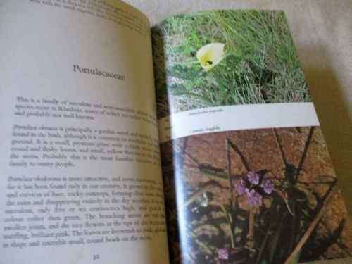 FLOWERS OF THE VELD - KAY LINLEY AND BRYAN BAKER - BUNDU SERIES