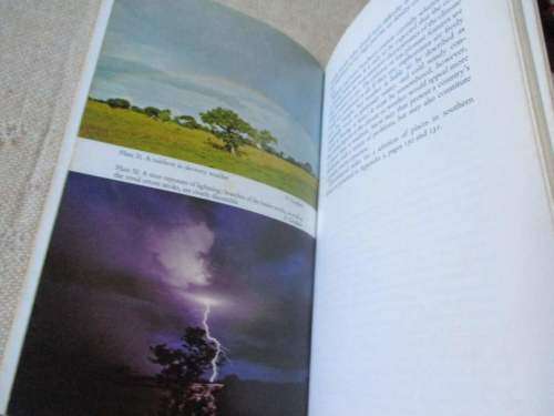 WAYWARD WINDS - JACK HATTLE  - BUNDU SERIES