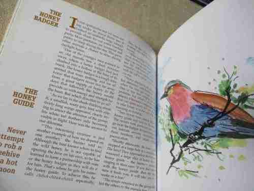 THE LEGENDS OF MADALA - A GLIMPSE AT AFRICAN FOLKLORE - NORMAN NEL
