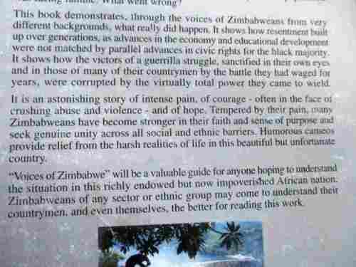 VOICES OF ZIMBABWE - THE PAIN - THE COURAGE - THE HOPE - GLYN HUNTER, LARRY FARREN, ALTHEA FARREN